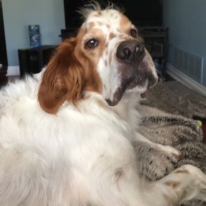 Meet your Posher, Beth